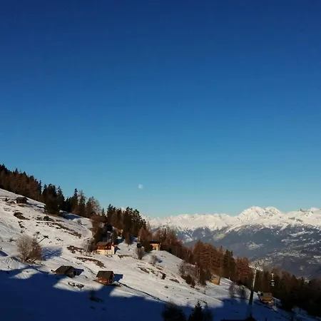 Apartman In Near Gondola & *